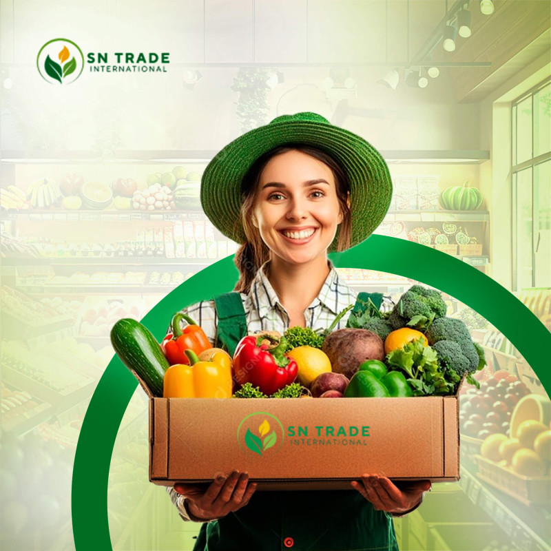 SN Trade International promo